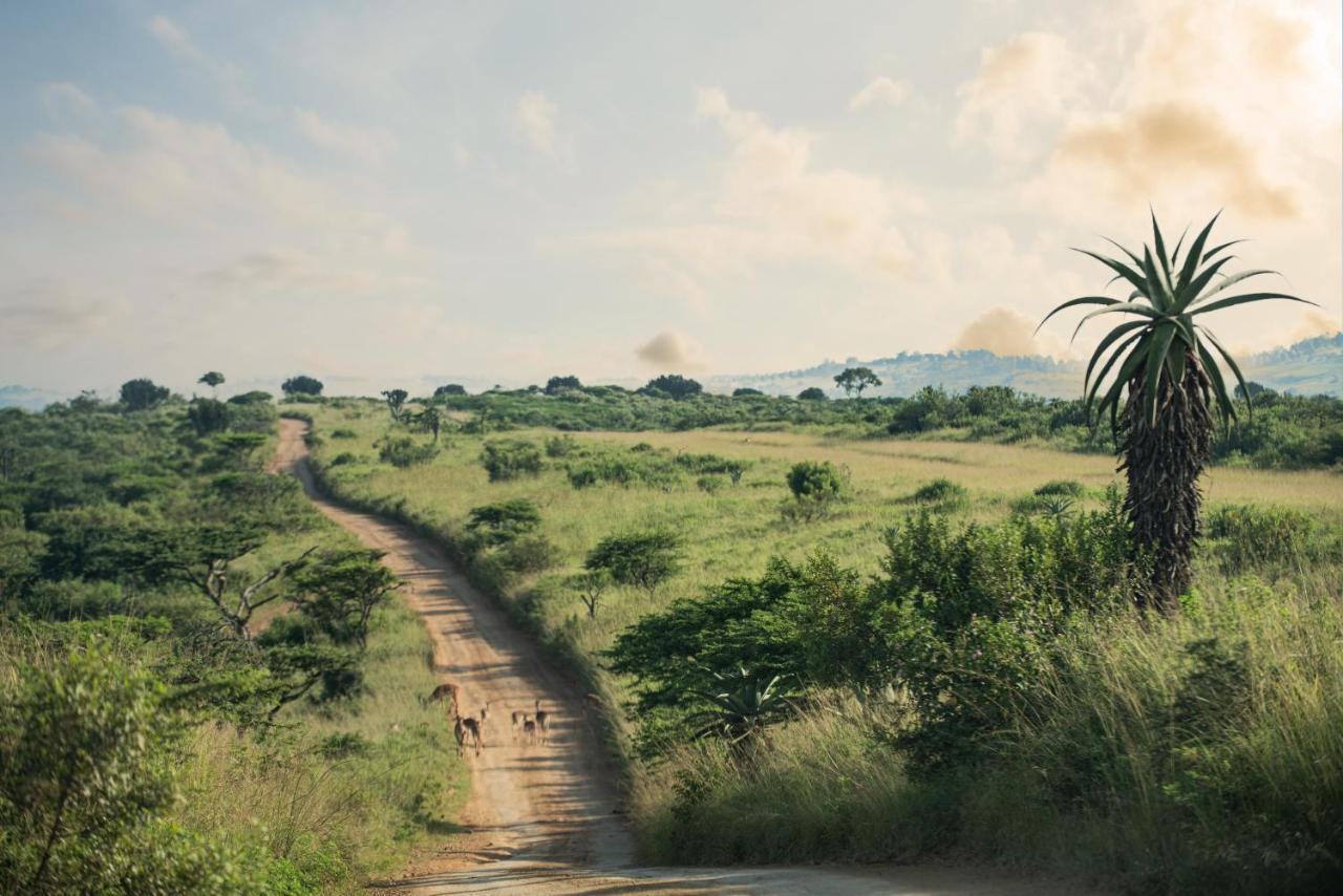 Tala Collection Game Reserve Silverton Εξωτερικό φωτογραφία