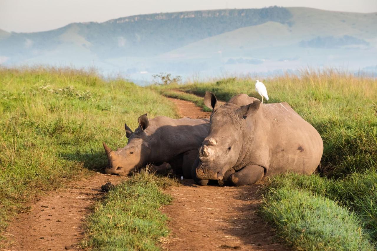 Tala Collection Game Reserve Silverton Εξωτερικό φωτογραφία