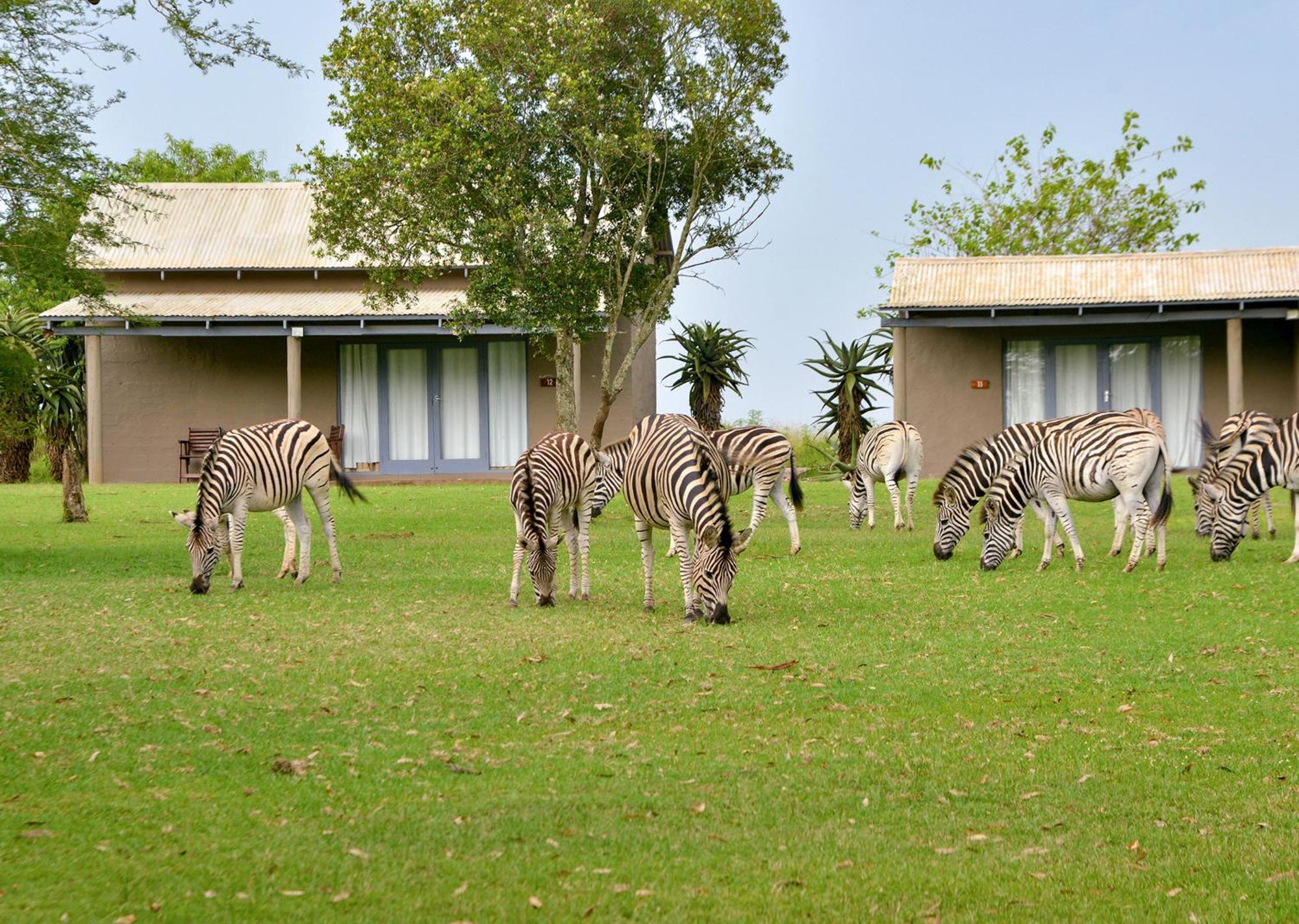 Tala Collection Game Reserve Silverton Εξωτερικό φωτογραφία